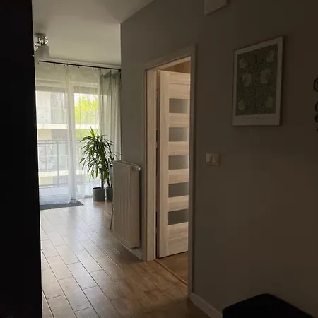 Rakowicka - City Center * Krakov